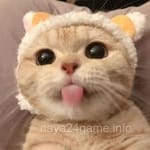 Avatar of Hafsa Khan